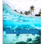 Bee_qxeenstyle