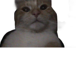 sosa...soso