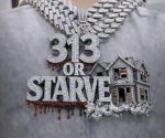 313XMOB