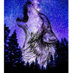 The Dark Wolf’s