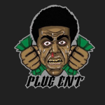 Pĺüğ Ëñț-