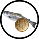 1 Pound Fish Studios