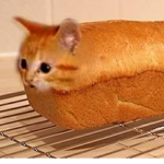 The Almighty bread cult