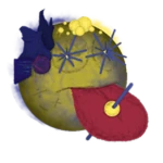Rooted Mutation Alalal