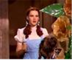 dorothy and toto fan group
