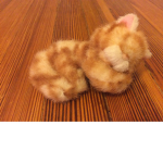 Kitten Fans Only!