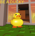 Be a ducky community