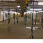zebalien office rentals
