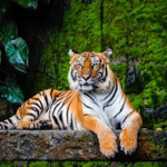 Team-tigre