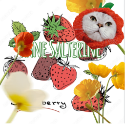 🍓🍉🎀🐹😻