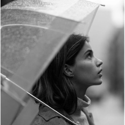 the rain