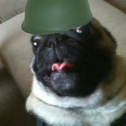The Derp War