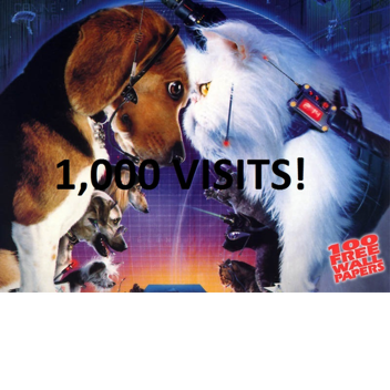 Dogs vs Cats