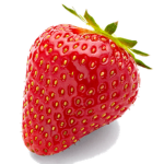 Strawberry Shortcake Dev Team