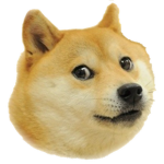 swag doge army