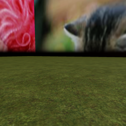 cats unitid's Place Number: 0