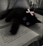 Cats ruIe the cake