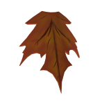 shadow