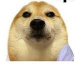 Hola groupCZ