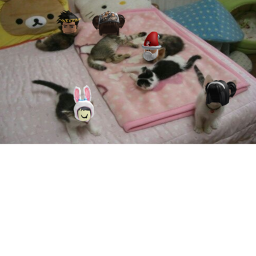 girlsnightout daycare