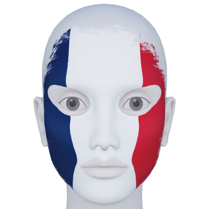France Facepaint