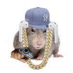 Steet Rats