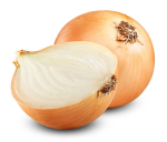 santa cruz onions
