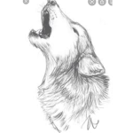 Wolfffgang