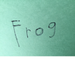 Frog Colony