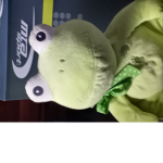 Epic frog gamer