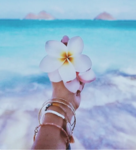_- Beachy Advertising!! -_