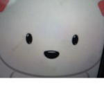 Orso bianco