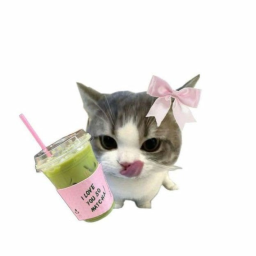 ⋆ ˚｡🍵⋆୨୧˚