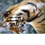 Its_Gabie group