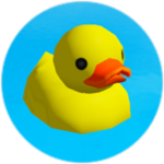 the duck team...