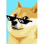 United Doge SF