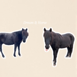 Dream & Horse