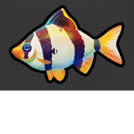 BarbFishNavy