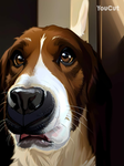 Super dogs, Otto