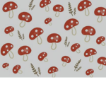 Mushroom crew/fam