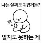 뱃살짱짱맨 그룹