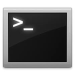 Terminal