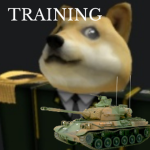 | Doge Training Academy |