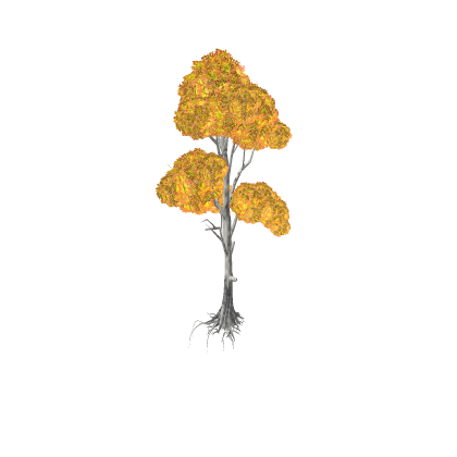 Realistic Birch Tree Fall