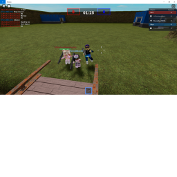 Capture the Flag