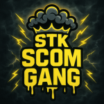 S.T.K [ SHOOT TO KILL ]