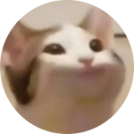 PCF (Popcat Containment Foundation)