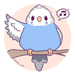 ~budgies!~