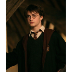 grupo de fan de Harry Potter
