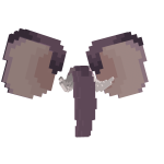 An Elephant's Ears